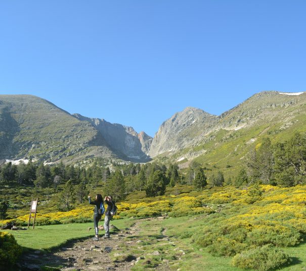 Camping Les Portes du Canigou - Pyrénées-Orientales